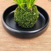 水培苔藓球苔玉球植物盆栽专用花盆无排水孔黑色陶瓷碗装水黑陶