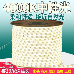 超亮2835双排4000k工程客厅，自然中性光灯带，白富美led灯条防水220v