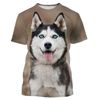 husky3dprintshortsleevet-shirt哈士奇3d印花男生，短袖t恤