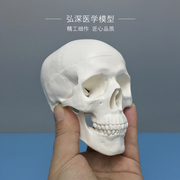 骷髅模型人体头颅骨骼迷你头骨，可拆卸美术，素描道具医学生教学模具