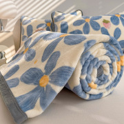 毛毯牛奶绒珊瑚法兰绒春秋夏季空调，盖被沙发，盖毯公室午休小毯子