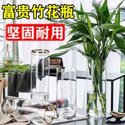 富贵竹花瓶专用水培植物大器皿玻璃透明养水竹雪柳马醉木客厅摆件