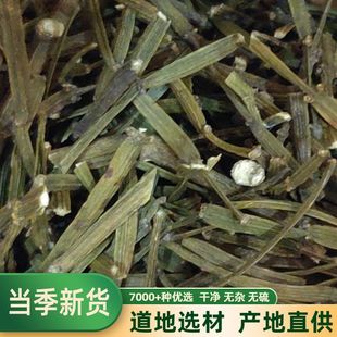 普洱茶生茶散茶古树茶，景迈山野生古树螃蟹脚500g