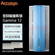 accusys世仰12盘雷电3磁盘阵列柜，accusys世仰静音雷电磁盘阵列gamma12(含96tb西数盘五年质保)