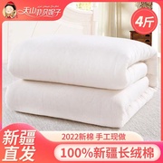 新疆棉被4斤棉花被手工，纯棉被芯被子棉絮，床垫被褥子全棉春秋冬被