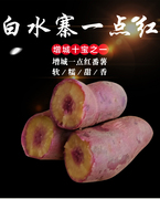 新鲜地瓜紫薯红薯软糯蜜糖，薯爆皮王花心，紫心板栗一点红番薯5斤装