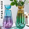 特大号玻璃花瓶透明水养富贵竹客厅花瓶花瓶转运插花欧式花瓶摆件