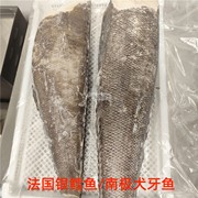 法国银鳕鱼整条出售4-55-6kg条称重定制南极犬牙鱼宝宝辅食材