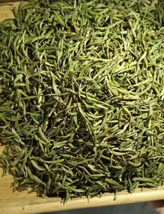 云南特产普洱毛尖绿茶清针银丝糯米香玉针碧螺春茉莉花茶半斤