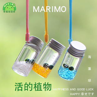 marimo幸福海藻球随身瓶创意迷你绿植，水培微景观生态瓶负离子生物