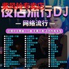 夜店中文流行dj歌曲大容量汽车载CD碟片高品质音质重低音嗨曲