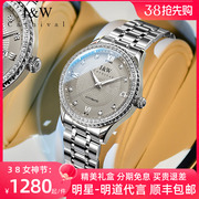iw爱沃驰女士手表机械表，2024镶钻轻奢小众名品牌女款腕表