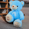 抱抱熊毛绒玩具公仔泰迪熊布娃娃送女朋友生日礼物玩偶熊睡觉床上