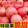 烟台红富士新鲜苹果新鲜应季产地直发脆甜多汁冰糖心苹果整箱