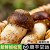 空运新鲜姬松茸菌菇松茸菇巴西蘑菇食用菌菇火锅煲汤食材
