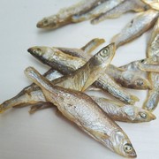 江西农家特产无盐淡水鱼干，小鱼干鱼干，鱼仔干货烘干小杂鱼餐条鱼