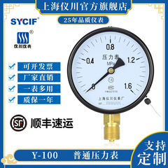 上海径向负压真空y100水压仪川仪表