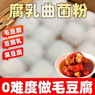 腐乳曲家用自制臭豆腐豆腐乳毛豆腐发酵菌豆豉 毛霉曲粉 腐乳菌