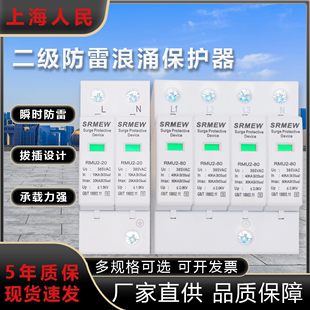 上海人民浪涌保护器 4P电源防雷器家用220V 2P避雷器电涌开关光伏