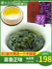 安溪铁观音2023春茶，清香型乌龙茶福建茶叶，伴手礼铁盒礼盒装250g