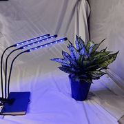 led夹子植物生长灯全光谱可定时调，光室内多肉花卉育苗植物补光灯
