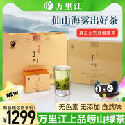 万里江崂山绿茶春茶2024新茶叶正宗崂山绿茶青岛特产新茶黄上品