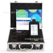 便携式臭氧检测仪 HD-P900Q-O3消毒臭氧发生器药厂 泵吸式 手持式