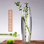 特大号富贵竹花瓶玻璃透明高50cm60cm落地插花水培银柳客厅摆件