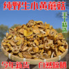 东北野生小黄蘑菇野山菌珍油蘑松蘑菇干货蘑菇丁土特产500g