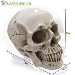 高精度仿真人头骨模型树脂骷髅头 艺术用 头骨 美术临摹模型