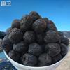 沂蒙山新鲜无核小黑枣君迁子软枣，小柿子软枣子黑枣子500g