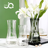 轻奢描金原色玻璃花瓶透明水养鲜花百合网红客厅摆件创意简约水培