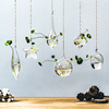 创意悬挂式透明水培玻璃花瓶，插花盆绿萝壁挂，小鱼缸简约现代小吊瓶
