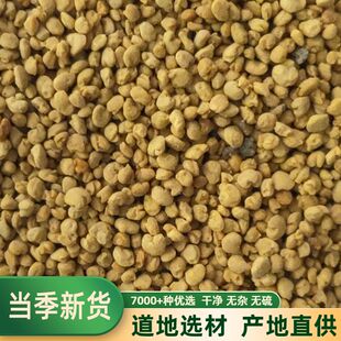 新鲜青海油菜花粉纯正天然未破壁食用蜂花粉前列腺500克