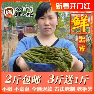 沂蒙山妞香椿芽咸菜山东特产新鲜腌制香椿头下饭菜250g特色酱菜