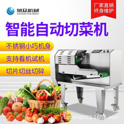 厨房设备多功能切菜机 旭众商用全自动XZ-691A蔬菜瓜果切菜机