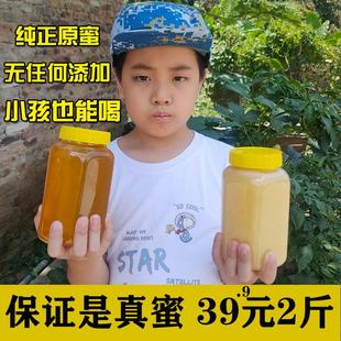 1000g枇杷蜜蜂蜜纯正天然农家自产琵琶蜜深山野生土蜂蜜结晶原蜜