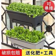 霍伦种菜盆阳台特大号蔬菜种植箱长方形花盆多肉草莓绿植家庭神器