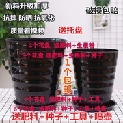 2020火龙果盆栽专用盆大口径花盆，30-35cm大芦荟，超大种葡萄的陶花