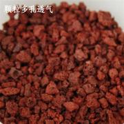 低价红火山石颗粒土基质散装含微量元素适合多肉兰花水族600g