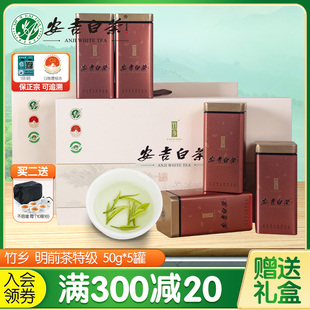 竹乡安吉白茶2024新茶，明前特级250g送礼盒装，绿茶叶
