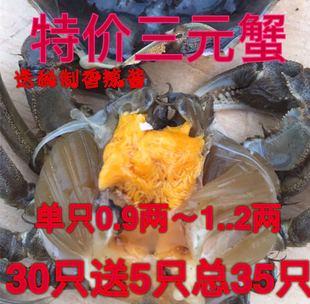 鲜活大闸蟹香辣蟹六月黄小螃蟹小河蟹毛蟹醉蟹0.9两～1.2两小