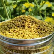 2025年油菜花粉 精挑大颗粒食用蜂花粉纯正宗无添加天然农家自产