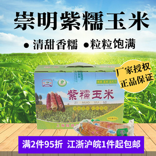 新货上海崇明紫糯玉米熟玉米棒真空包装2kg4斤甜香糯玉米礼盒