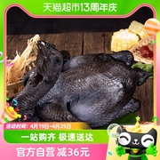 大江冷冻乌骨鸡1kg原生态，散养现杀农家土鸡营养，滋补美味煲汤食材