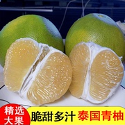 泰国青柚子进口新鲜蜜柚当季柚子青柚泰国大果青皮白肉蜂蜜柚孕妇