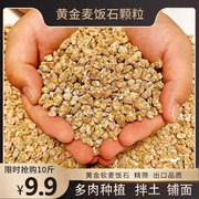 黄金麦饭石颗粒天然多肉种植培养颗粒，土肉肉铺面石营养(石营养)土5斤1