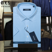 雅戈尔衬衫男蓝色短袖DP纯棉免烫商务正装夏季高端轻奢男士衬衫