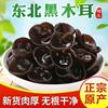 菌裕黑木耳小碗秋耳500g新干货无增重椴木凉拌云耳非特级野生东北