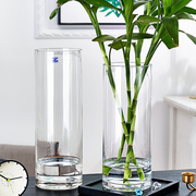 特大号落地花瓶玻璃透明摆件水养，富贵竹水竹玫瑰百合插花客厅家用